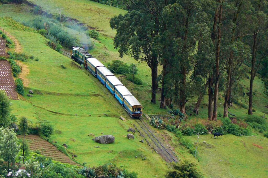 Ooty (Udhagamandalam)