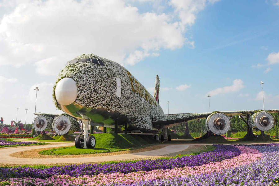Dubai: Miracle Garden