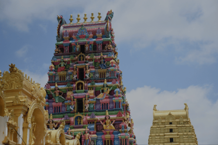 Chennai & Sri Lanka (11 days tour)
