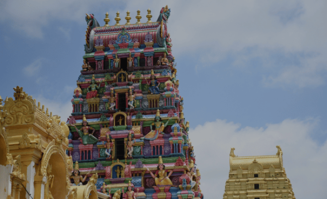 Chennai & Sri Lanka (11 days tour)