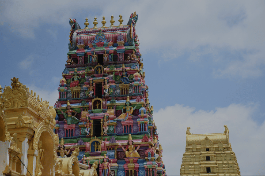Chennai & Sri Lanka (11 days tour)