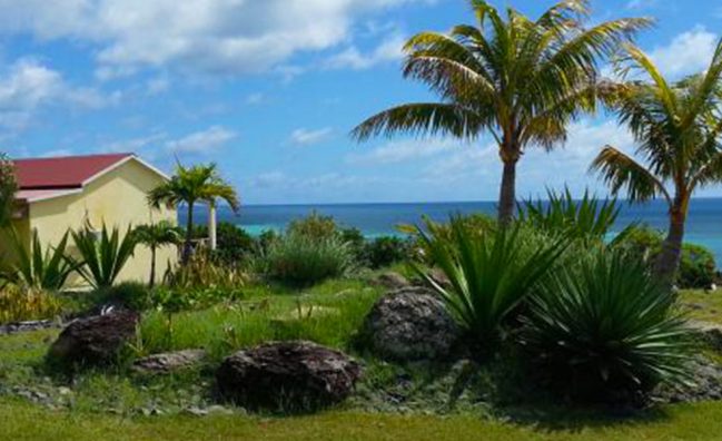 Kono Kono – Rodrigues Island (25-28 December 2026)